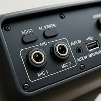 Macro detail of Sharp PS-935 interface showing two mic inputs, echo buttons, and aux-in port.
